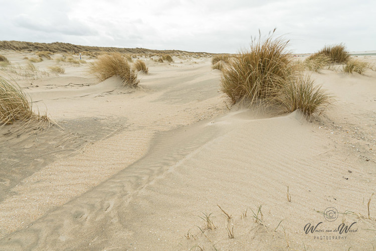 2021-03-12 - Embryonale duinen<br/>Strand - Kijkduin - Nederland<br/>Canon EOS 5D Mark III - 24 mm - f/11.0, 0.02 sec, ISO 200