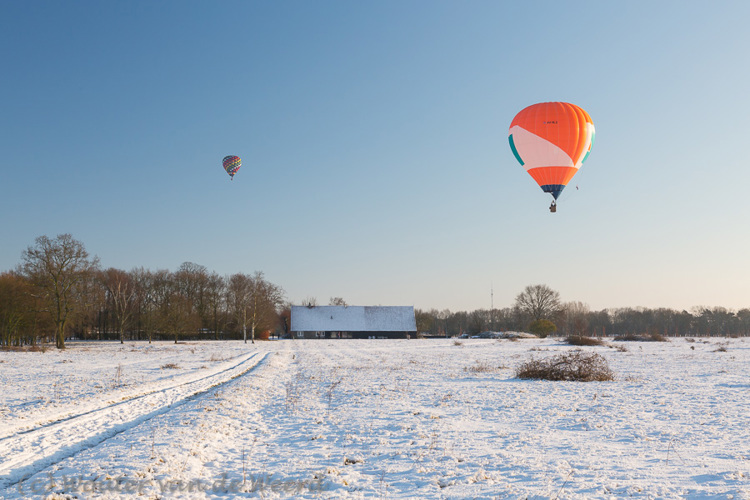 2014-12-28 - Ballonnen in de lucht boven winters landschap<br/>Plantage Willem III - Elst - Nederland<br/>Canon EOS 5D Mark III - 44 mm - f/11.0, 1/80 sec, ISO 200