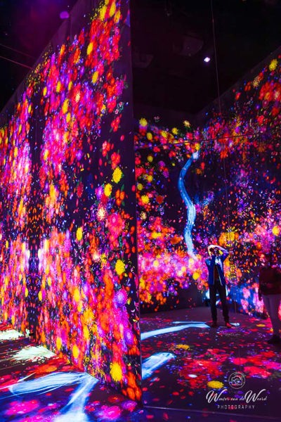 2026-02-09 - Geprojecteerde kleurige bioemen<br/>teamLab Borderless: MORI Buildin - Tokio - Japan<br/>Canon EOS R5m2 - 24 mm - f/5.6, 0.3 sec, ISO 12800