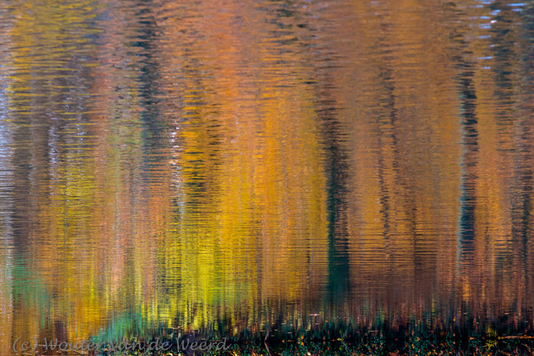 2012-11-11 - Mijn eigen Monet<br/>Slot Zeist park - Zeist - Nederland<br/>Canon EOS 7D - 105 mm - f/6.3, 1/30 sec, ISO 400