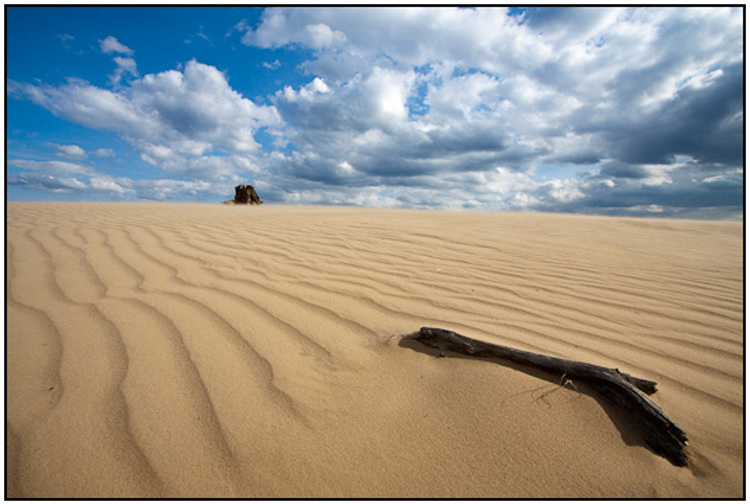 2010-04-02 - Wijdse zandvlakte<br/>NP De Hoge Veluwe - Otterlo - Nederland<br/>Canon EOS 50D - 10 mm - f/11.0, 1/400 sec, ISO 200
