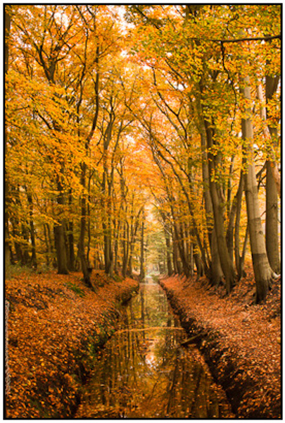 2010-11-01 - Sloot in herfstkleuren<br/>Maartensdijksche bos - Maartensdijk - Nederland<br/>Canon EOS 50D - 32 mm - f/11.0, 1.6 sec, ISO 200