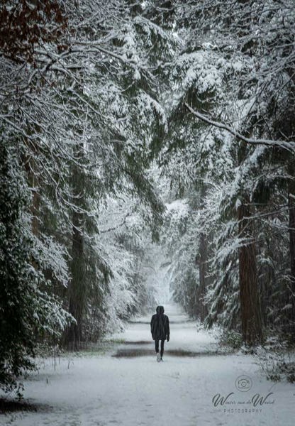 2026-01-03 - Wandelen door het besneeuwde bos<br/>Zeisterbos - Zeist - Nederland<br/>Canon EOS R6m2 - 70 mm - f/11.0, 0.1 sec, ISO 800