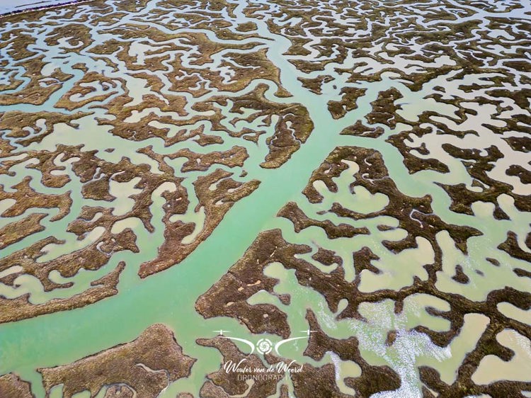 2023-05-06 - Labyrint-achtig estuarium (drone)<br/><br/>FC3582 - 6.7 mm - f/1.7, 1/2000 sec, ISO 100