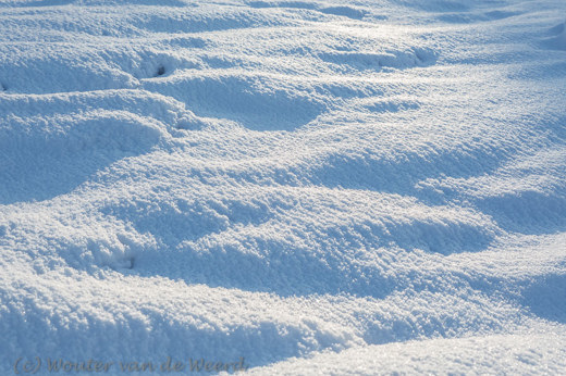 2014-12-28 - Licht en schaduw op de sneeuw<br/>Plantage Willem III - Elst - Nederland<br/>Canon EOS 5D Mark III - 58 mm - f/11.0, 1/125 sec, ISO 200