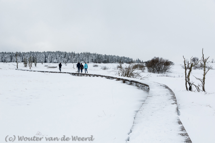 2015-01-30 - Vlonderpad over het veen in de sneeuw<br/>Hoge Venen - Baraque Michel - België<br/>Canon EOS 5D Mark III - 49 mm - f/8.0, 1/200 sec, ISO 200