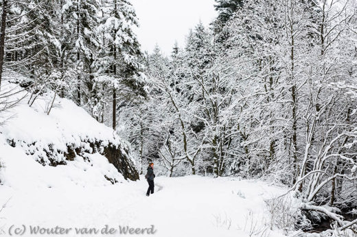 2015-02-01 - Onderweg in de sneeuw<br/>Hoge Venen - Xhoffraix - België<br/>Canon EOS 5D Mark III - 49 mm - f/8.0, 0.01 sec, ISO 200