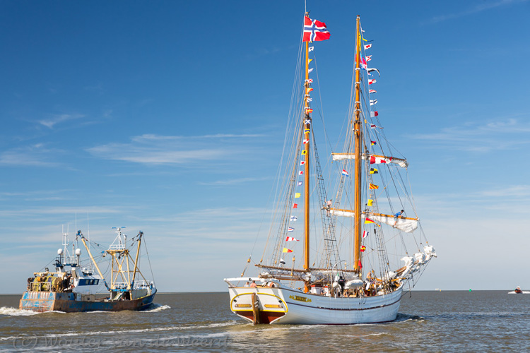 2018-08-06 - Onderweg naar Vlieland<br/>Haven - Harlingen - Nederland<br/>Canon EOS 5D Mark III - 70 mm - f/8.0, 1/200 sec, ISO 200