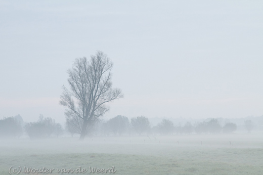 2011-11-19 - Mistig landschap<br/>Langbroek - Nederland<br/>Canon EOS 7D - 105 mm - f/8.0, 1/30 sec, ISO 800