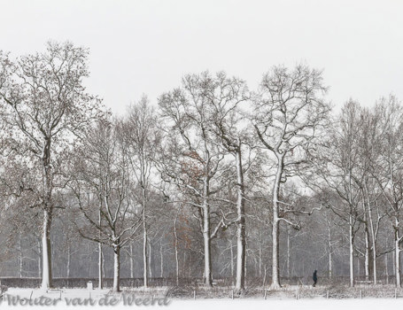 Wintersfeer Wintersfeer