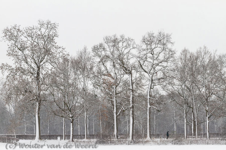 2012-12-07 - Eenzame wandelaar in sneeuwlandschap<br/>Landgoed Rhijnauwen - Bunnik - Nederland<br/>Canon EOS 7D - 50 mm - f/8.0, 0.02 sec, ISO 200