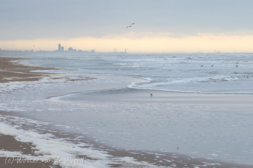 2020-01-04 - Aan zee, Scheveningen op de achtergrond<br/>Strand - Katwijk aan zee - Nederland<br/>Canon EOS 7D Mark II - 100 mm - f/5.6, 1/320 sec, ISO 800