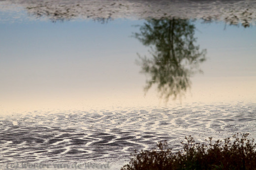 2012-09-23 - Weerspiegeling in het water<br/>Wavershoek - Waverveen - Nederland<br/>Canon EOS 7D - 300 mm - f/3.5, 1/1600 sec, ISO 400
