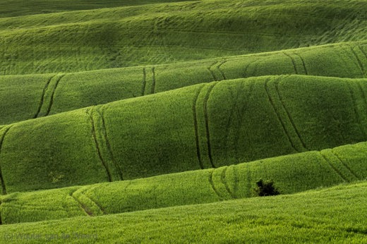2013-04-28 - Rollende, golvende groene heuvels<br/>Toscane - Pienza - Italië<br/>Canon EOS 7D - 170 mm - f/8.0, 0.04 sec, ISO 200