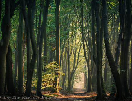 Speuldersbos Speuldersbos