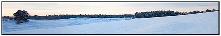 2010-01-31 - Panorama van besneeuwd landschap<br/>Kootwijkerzand - Kootwijk - Nederland<br/>Canon EOS 50D - 47 mm - f/8.0, 0.05 sec, ISO 200