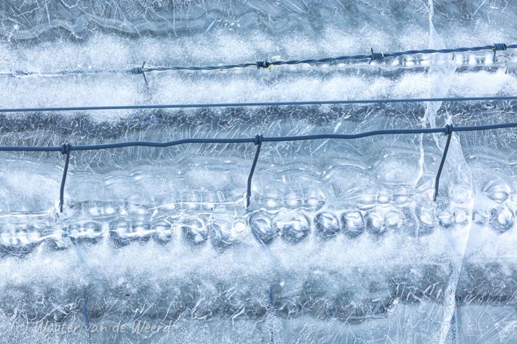 2021-02-14 - Structuren in een ijs-plaat aan een hek<br/>Blaauwe Kamer - Rhenen - Nederland<br/>Canon EOS 5D Mark III - 400 mm - f/5.6, 1/3200 sec, ISO 400