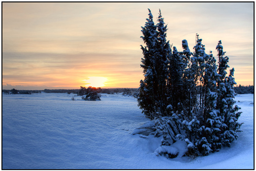 2010-01-31 - Het zonnetje komt wat waterig tevoorschijn<br/>Kootwijkerzand - Kootwijk - Nederland<br/>Canon EOS 50D - 24 mm - f/11.0, 0.1 sec, ISO 200